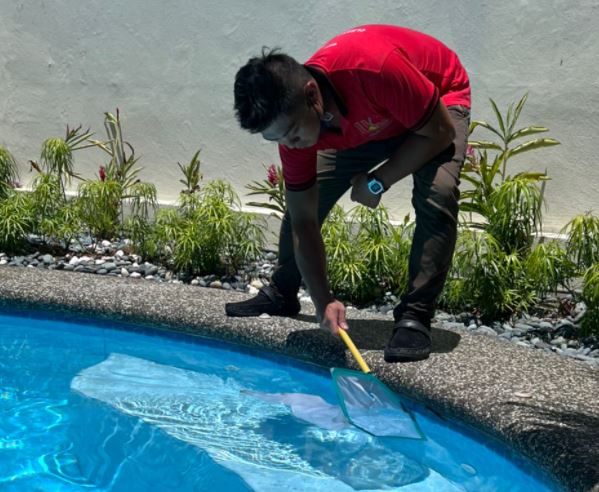 Pool maintenance service